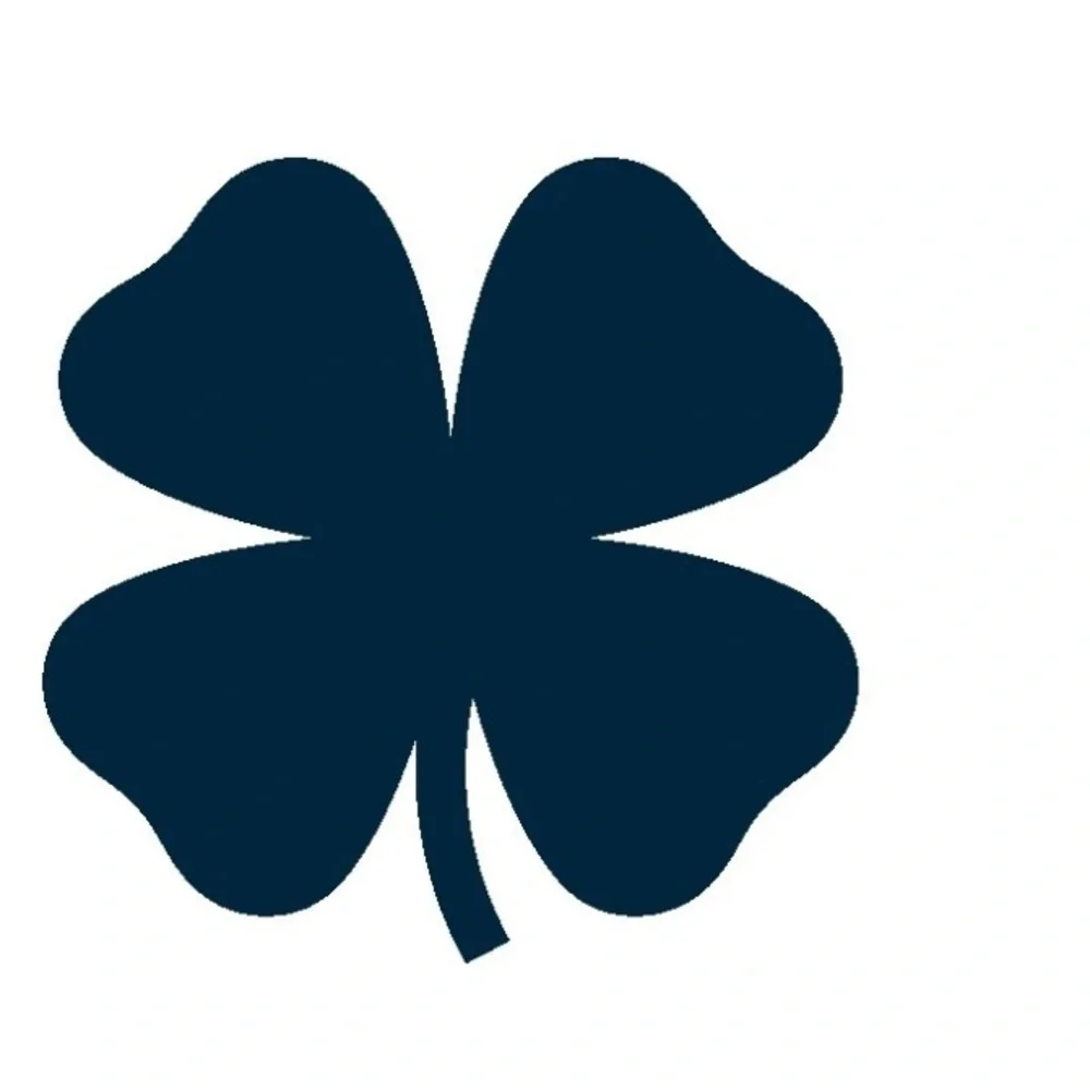 Lucky Brand Cream colored crocheted open knit button-back sweater. Size S - Picture 6 of 7